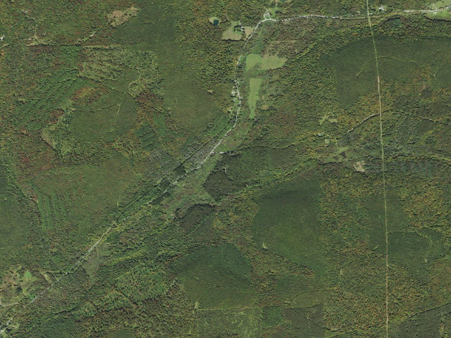 Aerial image of Tioga State Forest roadside campsite Twin Pipes 853