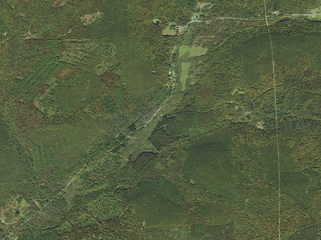 Aerial image of Tioga State Forest roadside campsite Twin Pipes Foundations 852