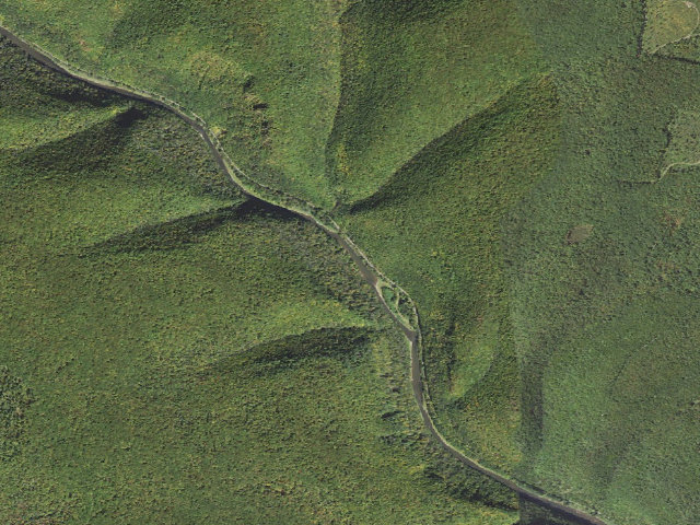 Aerial image of Tioga State Forest water-trail campsite Pine Creek Pine Island 3