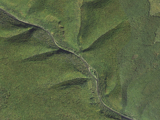 Aerial image of Tioga State Forest water-trail campsite Pine Creek Pine Island 2