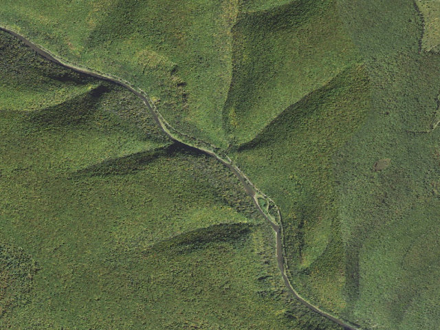 Aerial image of Tioga State Forest water-trail campsite Pine Creek Pine Island