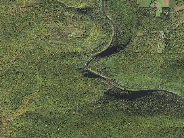Aerial image of Tioga State Forest water-trail campsite Pine Creek Falling Spring 2