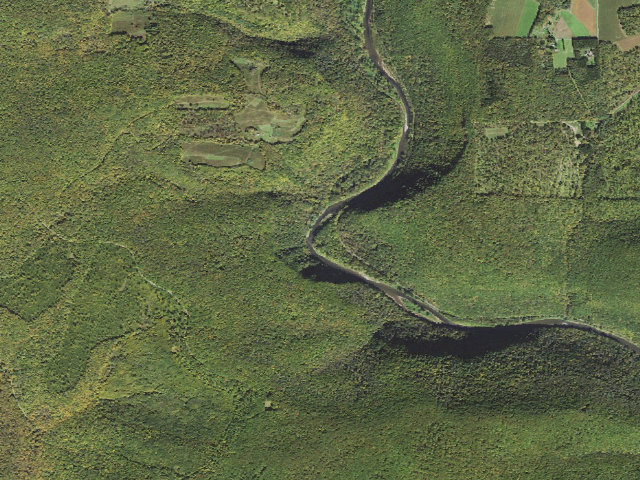 Aerial image of Tioga State Forest water-trail campsite Pine Creek Falling Spring 1