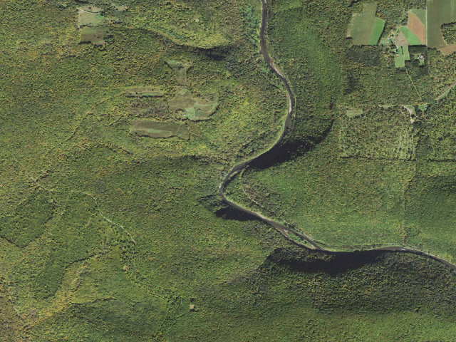 Aerial image of Tioga State Forest water-trail campsite Pine Creek Good Spring Hollow