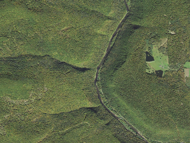 Aerial image of Tioga State Forest water-trail campsite Pine Creek Little Slate South