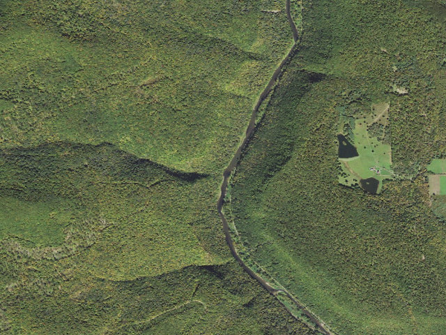 Aerial image of Tioga State Forest water-trail campsite Pine Creek Little Slate North
