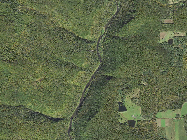 Aerial image of Tioga State Forest water-trail campsite Pine Creek Horse Run