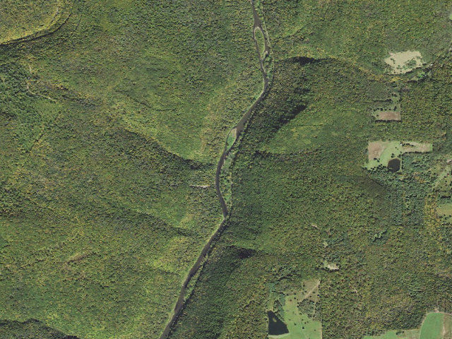 Aerial image of Tioga State Forest water-trail campsite Pine Creek Burdic Run South