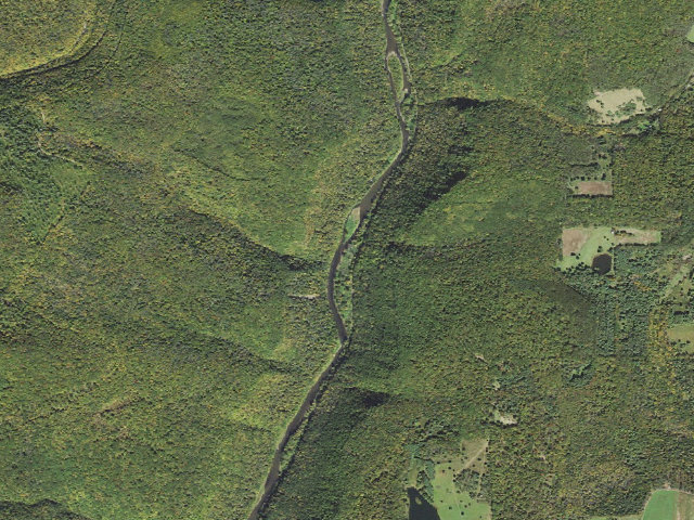 Aerial image of Tioga State Forest water-trail campsite Pine Creek Burdic Run North