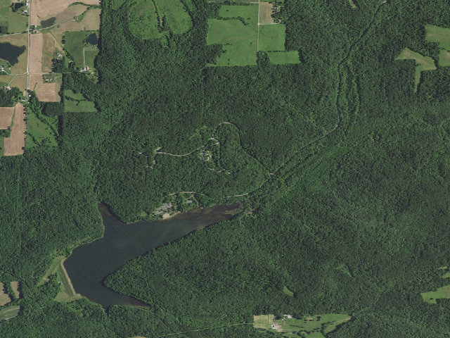 Aerial image of Tipsaw Primrose Group Site