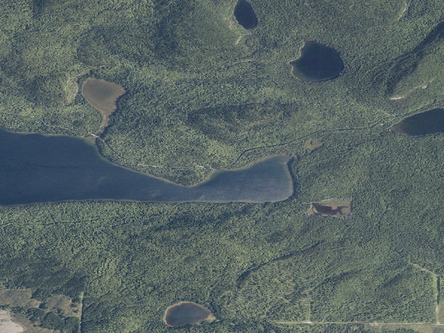 Aerial image of Togue East (Deboullie Public Land)