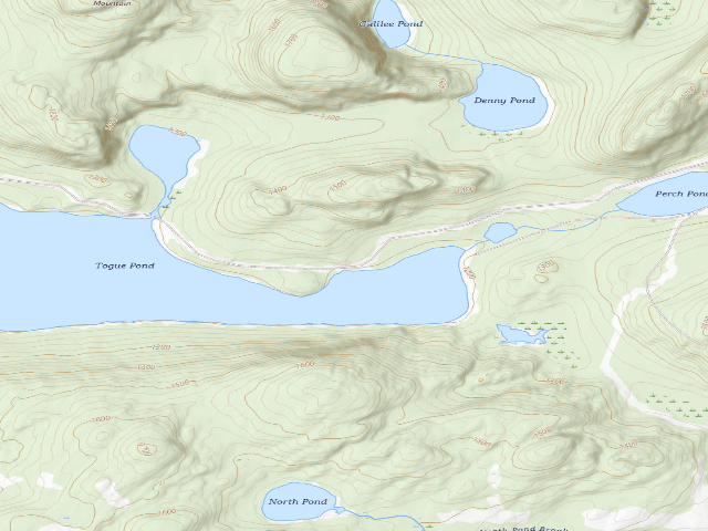 USGS topographic map of Togue East (Deboullie Public Land)
