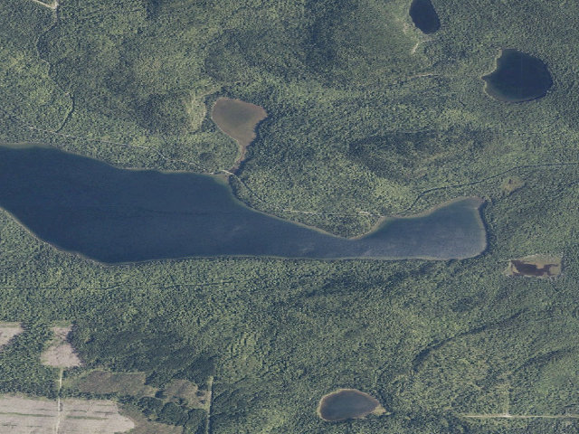 Aerial image of Togue Point (Deboullie Public Land)