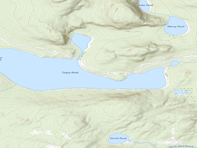 USGS topographic map of Togue Point (Deboullie Public Land)