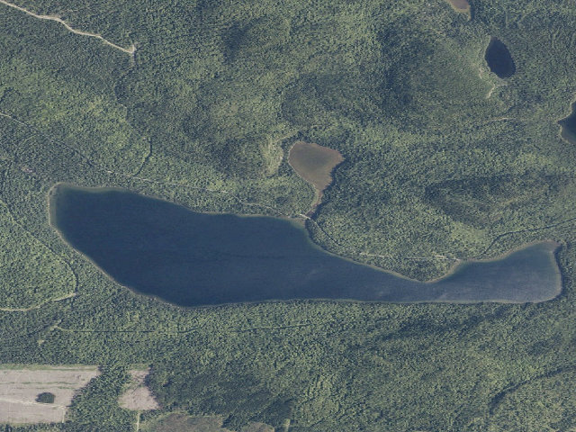 Aerial image of Togue West (Deboullie Public Land)