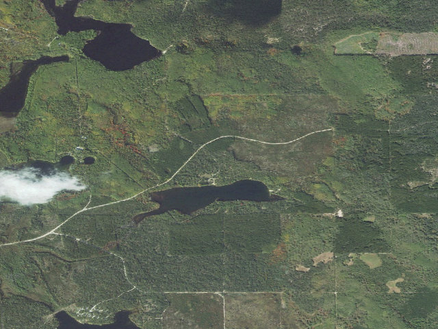 Aerial image of Tomahawk Lake State Forest Campground