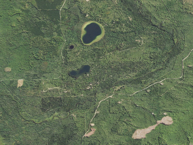 Aerial image of Town Corner Lake State Forest Campground