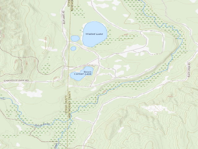 USGS topographic map of Town Corner Lake State Forest Campground