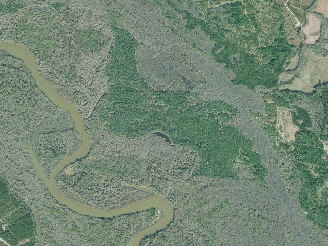 Aerial image of Townsend WMA - Big Lake Primitive Campground