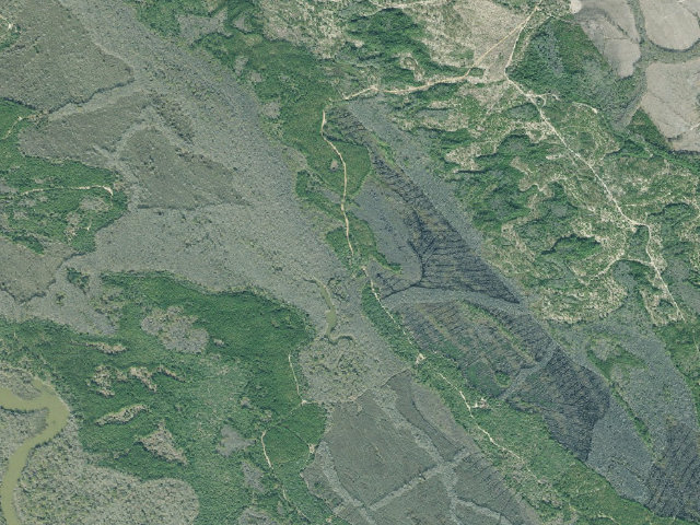 Aerial image of Townsend WMA - Middleton Lake Primitive Camp