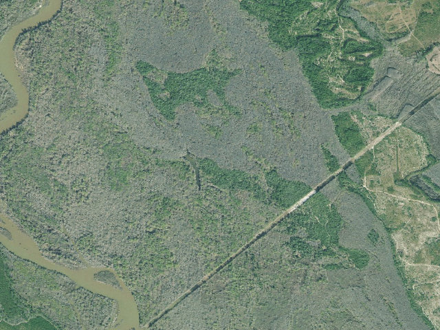 Aerial image of Townsend WMA - Wesley Lake Primitive Campground