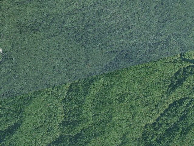 Aerial image of Toxaway Game Land camping area #1