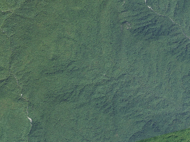 Aerial image of Toxaway Game Land camping area #2
