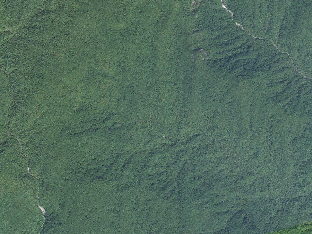 Aerial image of Toxaway Game Land camping area #3