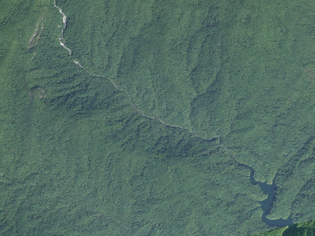 Aerial image of Toxaway Game Land camping area #4