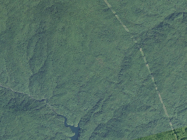 Aerial image of Toxaway Game Land camping area #5