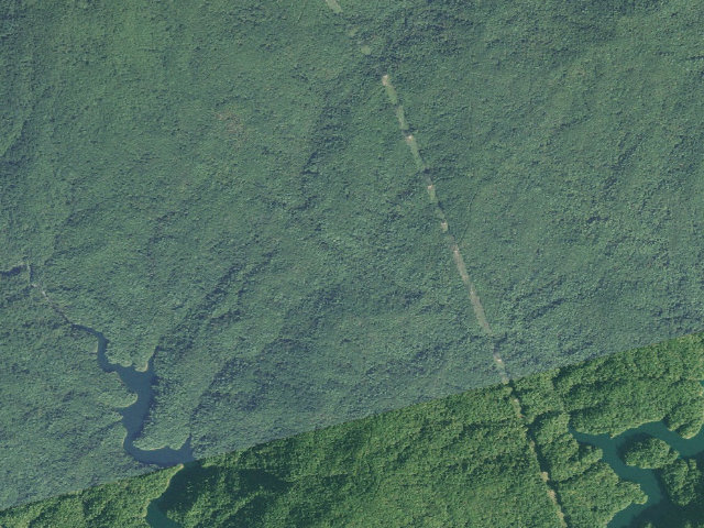 Aerial image of Toxaway Game Land camping area #6