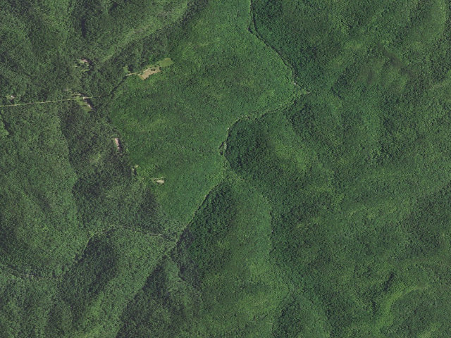 Aerial image of Trace Branch Camping Area