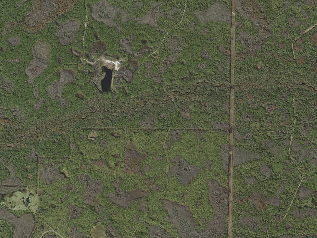 Aerial image of Trail Ford (Green Swamp Wilderness Preserve - East Tract)