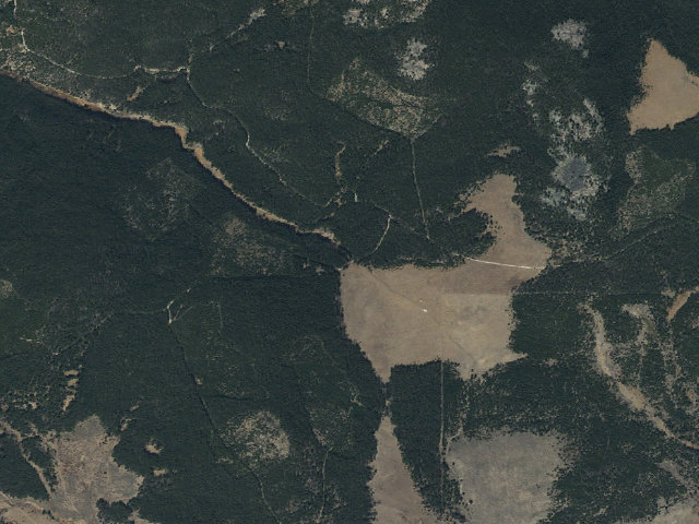 Aerial image of Trail