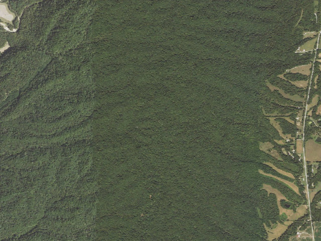 Aerial image of Trail of Tears State Forest - Campsite 1
