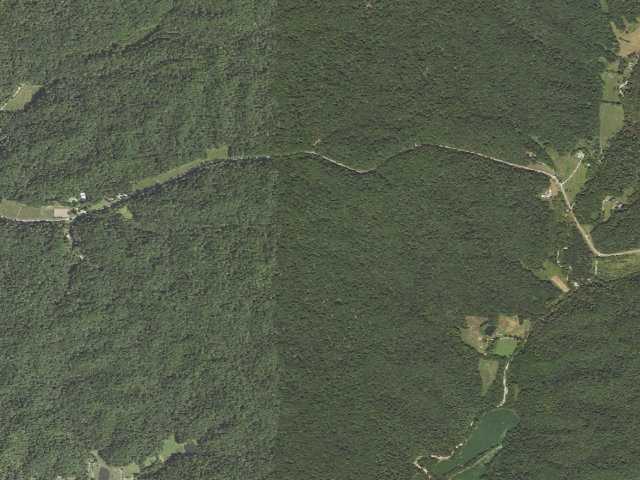 Aerial image of Trail of Tears State Forest - Campsite 10
