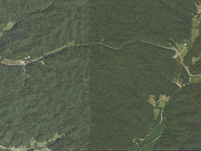 Aerial image of Trail of Tears State Forest - Campsite 11