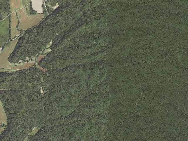 Aerial image of Trail of Tears State Forest - Campsite 2