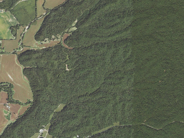 Aerial image of Trail of Tears State Forest - Campsite 3