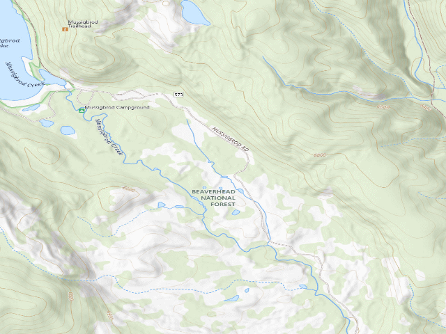 USGS topographic map of Trailer Spot
