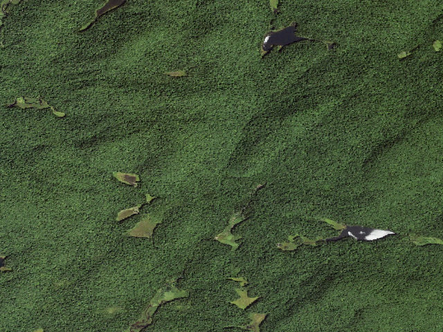 Aerial image of Trailside Campsite (Silver Lake Wilderness)