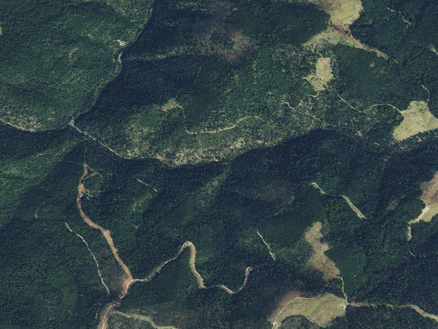 Aerial image of Trapper Creek Cg