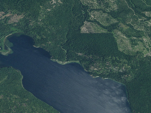 Aerial image of Trapper