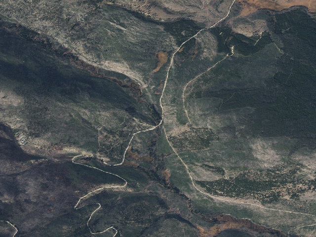 Aerial image of Tree Blown Over