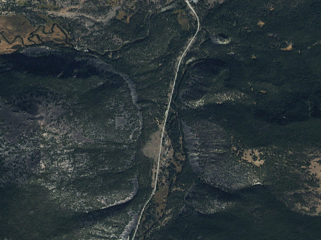 Aerial image of Tree Cove