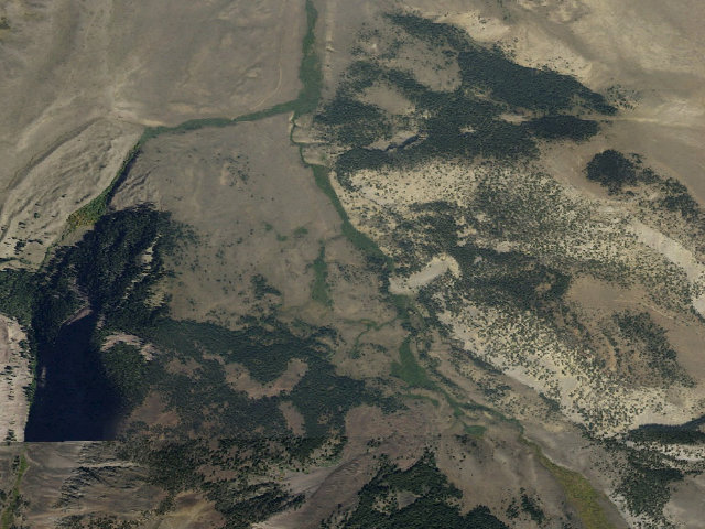 Aerial image of Tree Cover