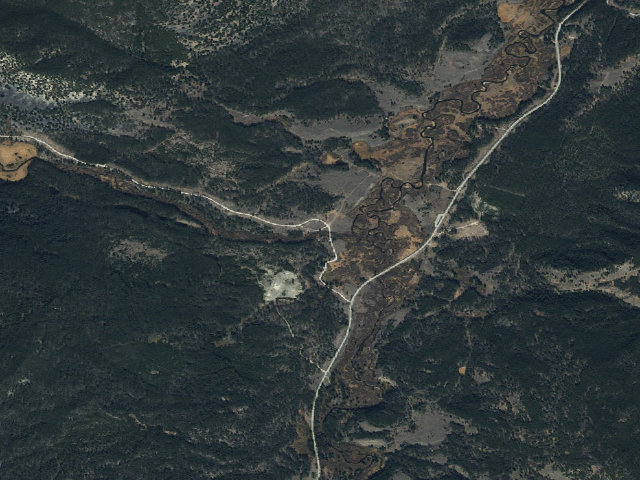 Aerial image of Tree Damage
