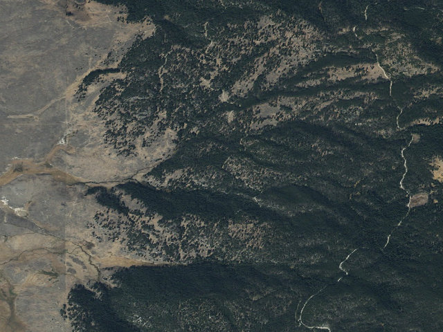Aerial image of Tree Gash