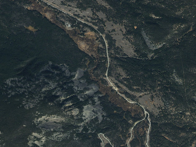 Aerial image of Tree