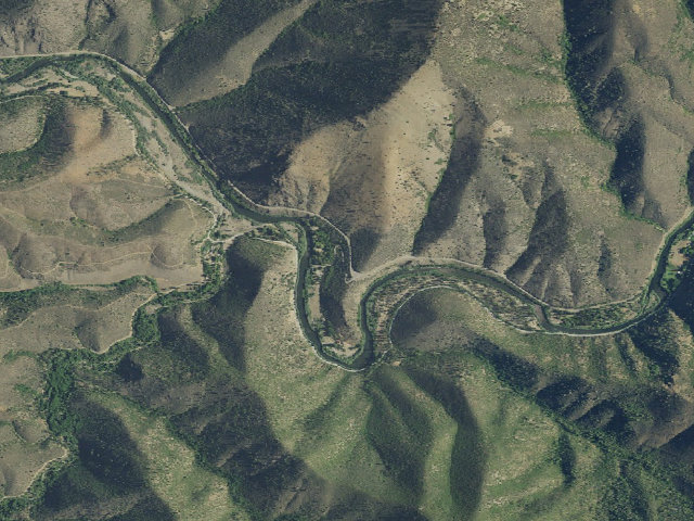 Aerial image of Tree Of Heaven